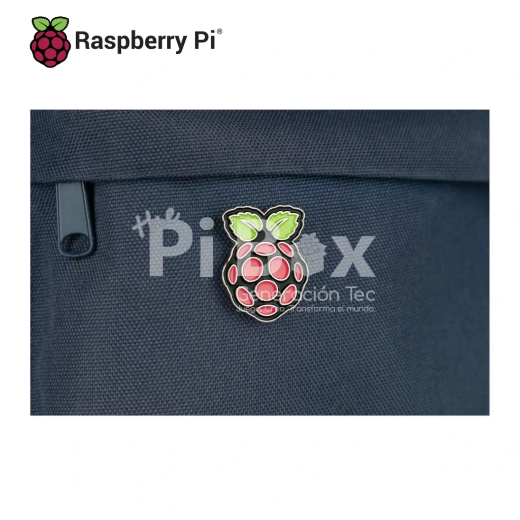 Pin_Raspberry_Pi_02.webp
