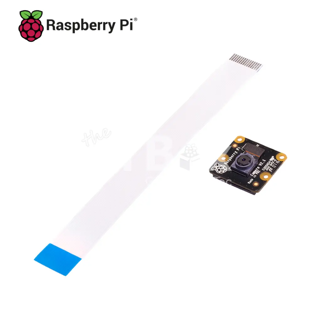 PI_NOIR_4.webp