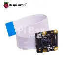 PI_NOIR_3.webp