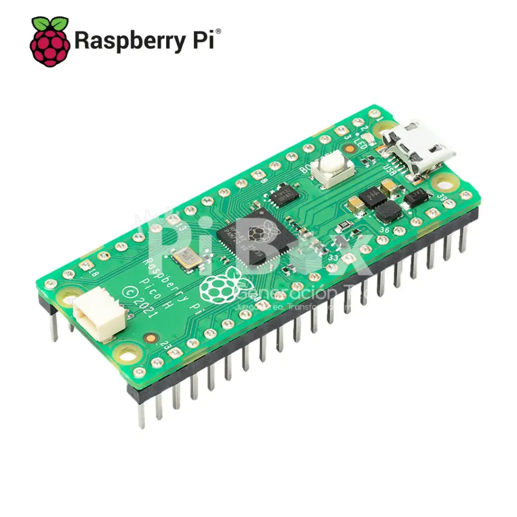 [MIC-RP-002] Raspberry Pi Pico H